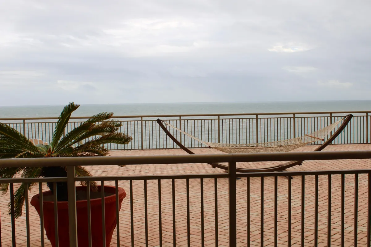 A tranquil exterior scene featuring a hammock strung between posts, a potted palm tree adding tropical flair, and a stunning view of the ocean in the distance. The area exudes peacefulness, perfect for moments of relaxation or creative work outdoors.